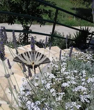 Apartament Spiti Elea