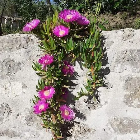 Daire Spiti Elea